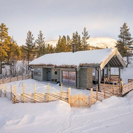 The Cabin At Lemonsjoen Jotunheimen Βίλα Randsverk Εξωτερικό φωτογραφία