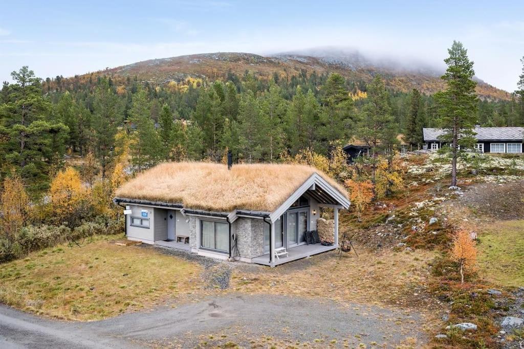 The Cabin At Lemonsjoen Jotunheimen Βίλα Randsverk Εξωτερικό φωτογραφία