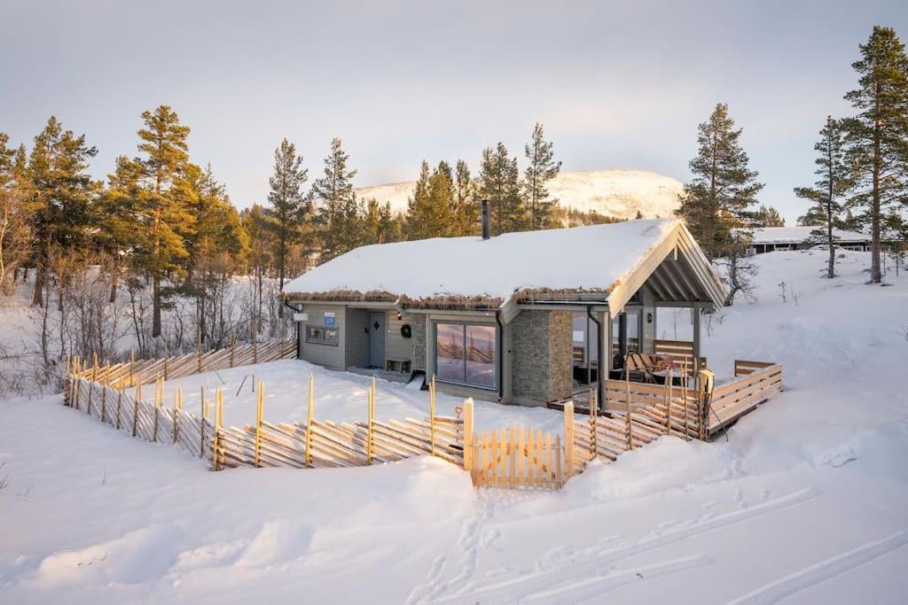 The Cabin At Lemonsjoen Jotunheimen Βίλα Randsverk Εξωτερικό φωτογραφία