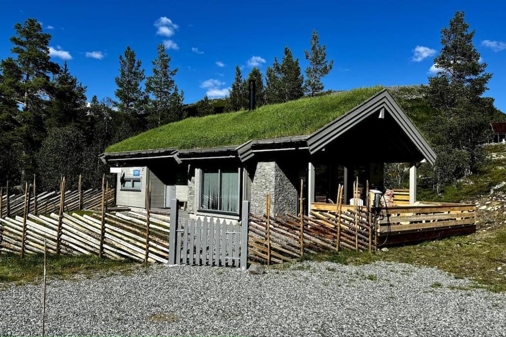 The Cabin At Lemonsjoen Jotunheimen Βίλα Randsverk Εξωτερικό φωτογραφία