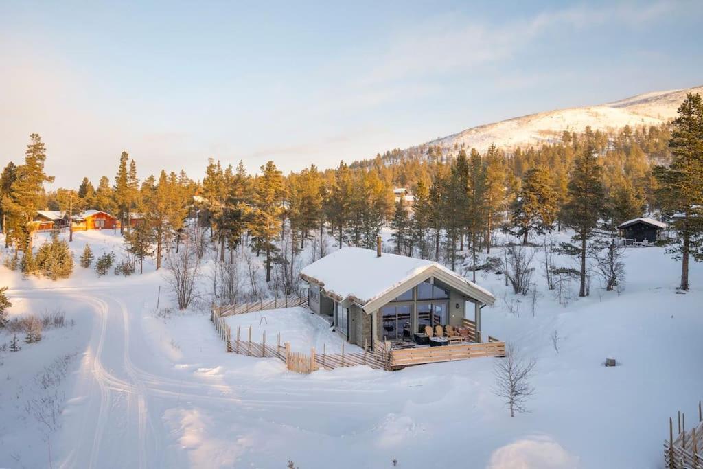 The Cabin At Lemonsjoen Jotunheimen Βίλα Randsverk Εξωτερικό φωτογραφία