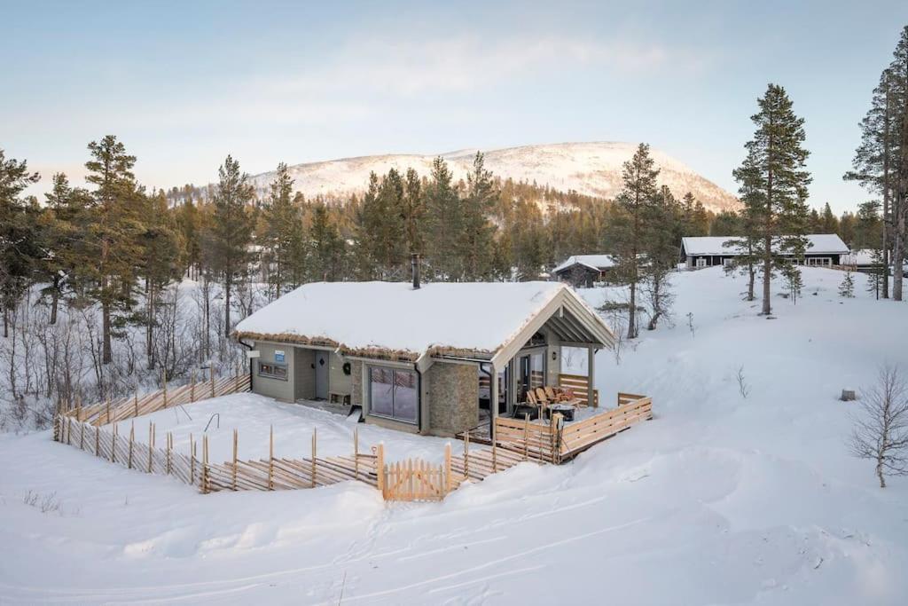 The Cabin At Lemonsjoen Jotunheimen Βίλα Randsverk Εξωτερικό φωτογραφία